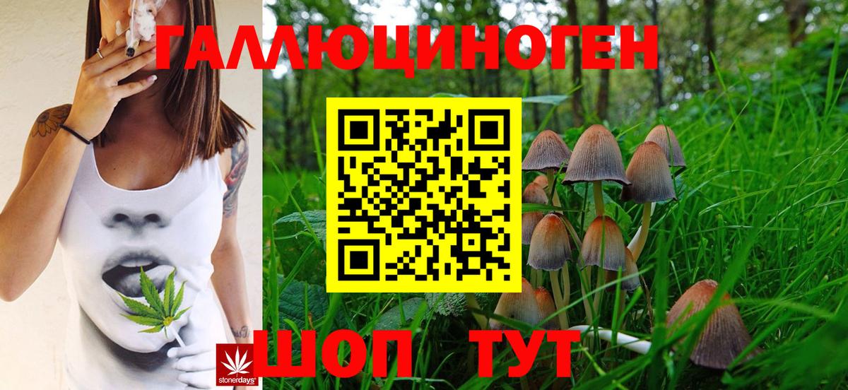 Псилоцибиновые грибы GOLDEN TEACHER Реутов